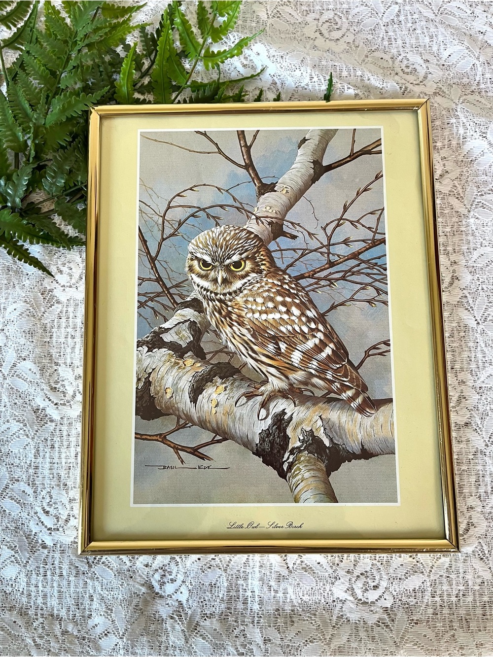 1980’s Brass Framed Owl Silver Birch Lithograph 10.5”x13.5”